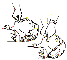 Cuerpo extra�o en la Boca