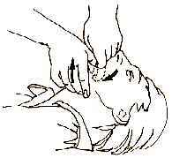 Cuerpo extra�o en la Boca