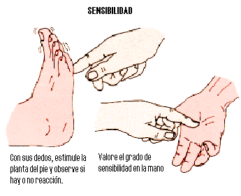 Sensibilidad