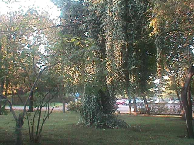 Parque de Filosof�a