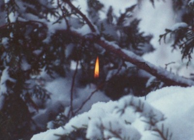 Unedited scan of a photo taken with an old SLR