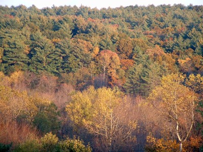 Doc Bills as seen from my deck (again)