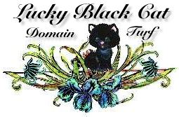 Lucky Black Cat