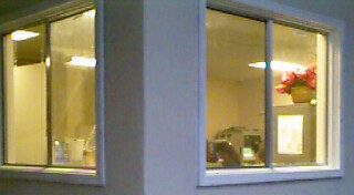 Our Windows!