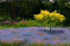 Warsaw Botanical Garden