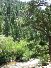 IMG_1853 copy