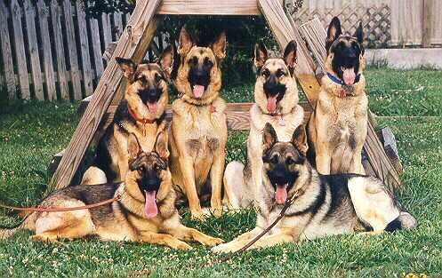 All Six