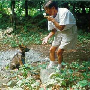 Pick on Puppy