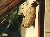 The Beehive
