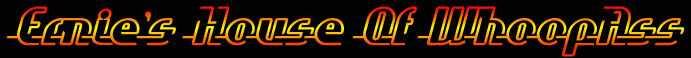 Ernies site is for mature persons only , if you don't like nasty or gross..... Don't Look at it !!!!!!!!!!!