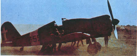Fiat G50