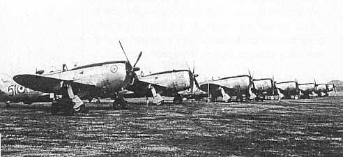 P47s of 51� Stormo [Photo credit Fam. Biccolini via N. Malizia]