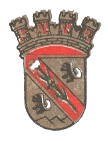 Municipalidad de Salliquel�