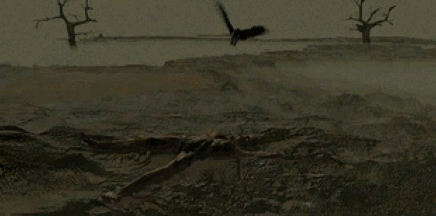Survivor