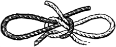 Image5.gif (6597 bytes)