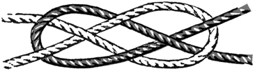 Image7.gif (12040 bytes)