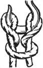 Image8.gif (4845 bytes)