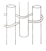 amarre7a.gif (8528 bytes)