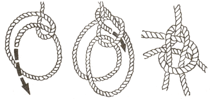 lazo2.gif (32925 bytes)