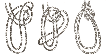 lazo4.gif (31250 bytes)