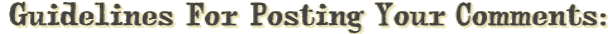 Guidelines To Posting Your Comments