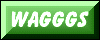 World Association of Girl Guides and Girl Scouts