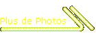 Plus de Photos