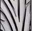 toyo_tyre.jpg (1761 bytes)