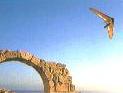 Hang Gliding Parachuting