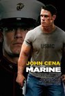 Click image to view more