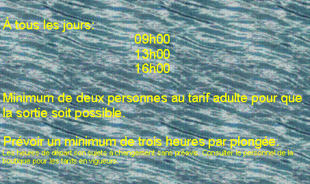 Zone de Texte: � tous les jours:					09h00				13h00				16h00Minimum de deux personnes au tarif adulte pour que la sortie soit possible.Pr�voir un minimum de trois heures par plong�e.Les heures de d�part son sujets � changement sans pr�avis. Consulter le personnel de la boutique pour les tarifs en vigueurs.