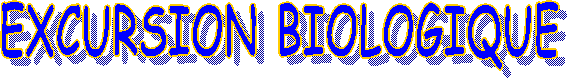 EXCURSION BIOLOGIQUE