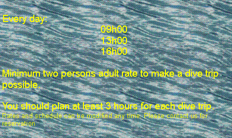Zone de Texte: Every day:					09h00				13h00				16h00Minimum two persons adult rate to make a dive trip possible.You should plan at least 3 hours for each dive trip.Rates and schedule can be modified any time. Please contact us for reservation