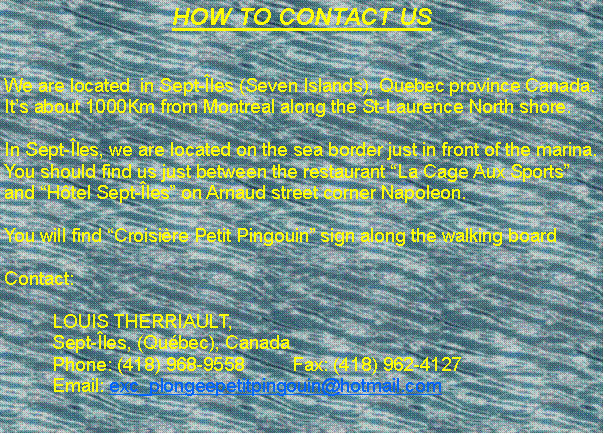 Zone de Texte: HOW TO CONTACT USWe are located  in Sept-�les (Seven Islands), Quebec province Canada. It�s about 1000Km from Montreal along the St-Laurence North shore. In Sept-�les, we are located on the sea border just in front of the marina. You should find us just between the restaurant �La Cage Aux Sports� and �H�tel Sept-�les� on Arnaud street corner Napoleon.  You will find �Croisi�re Petit Pingouin� sign along the walking board Contact:	LOUIS THERRIAULT, 	Sept-�les, (Qu�bec), Canada	Phone: (418) 968-9558 	Fax: (418) 962-4127	Email: exc_plongeepetitpingouin@hotmail.com