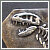 Cretaceous Box thumbnail pic.