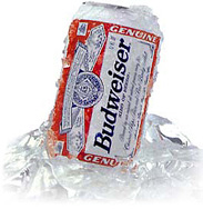 bud.jpg (25366 bytes)