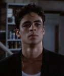 Benicio Del Toro as Dario