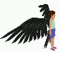 Turock�s wings object (draft1)