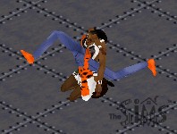 No Smoke Cloud Fight!