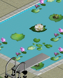 VacationPool Lilies