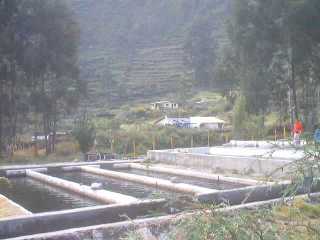 criaderotruchas