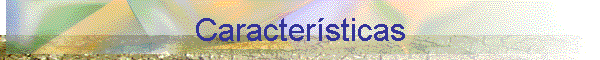 Caracter�sticas