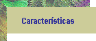 Caracter�sticas