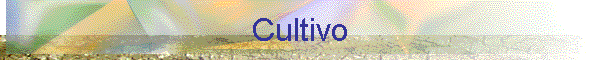 Cultivo