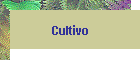 Solicitar informaci�n sobre el Cultivo