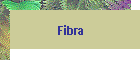Fibra