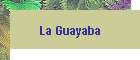 En esta p�gina encontrara informaci�n sobre la guayaba y las caracter�sticas y propiedades mas importantes de la fruta