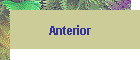 Anterior