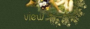 View my Guestbook