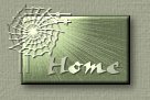Back to my home page